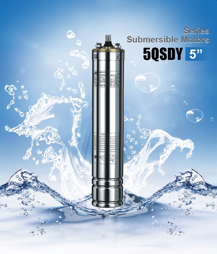 5" 5QSDY F insulation class submersible pump motor