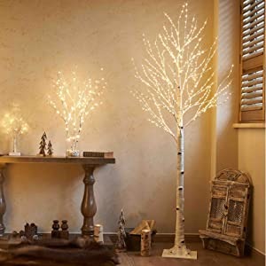 birch tree