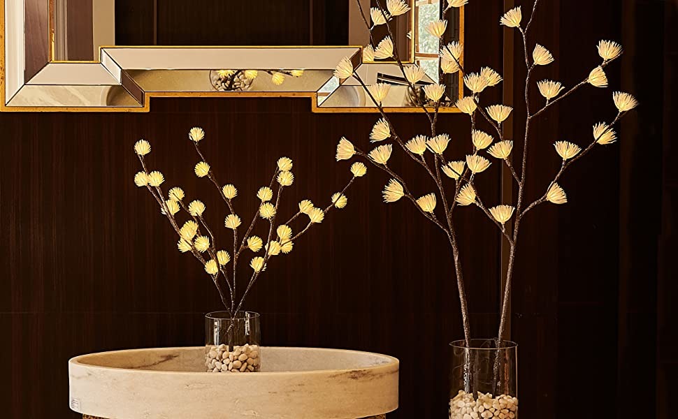 Branch Lights with ice flowers