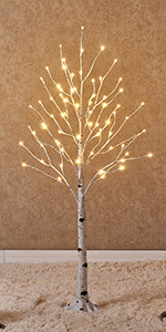 Birch Tree Lights