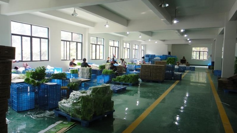 Zhejiang Hengda Plastic CO.,LTD