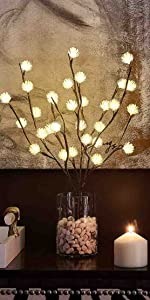Dandelion Lights