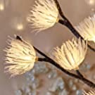 Branch Lights Icy Flower