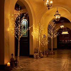 birch tree lights