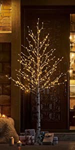Birch Tree Lights