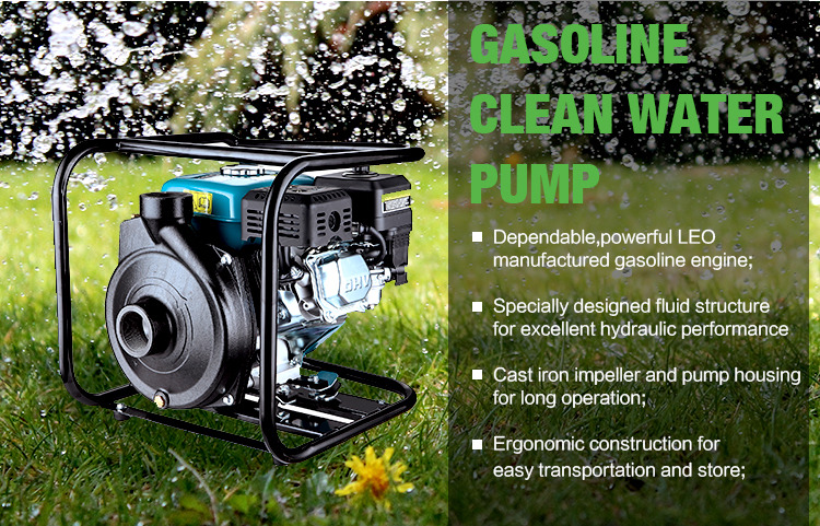 LEO 6.5HP 2 Inch Petrol Gasoline Engine Clean Water Pump