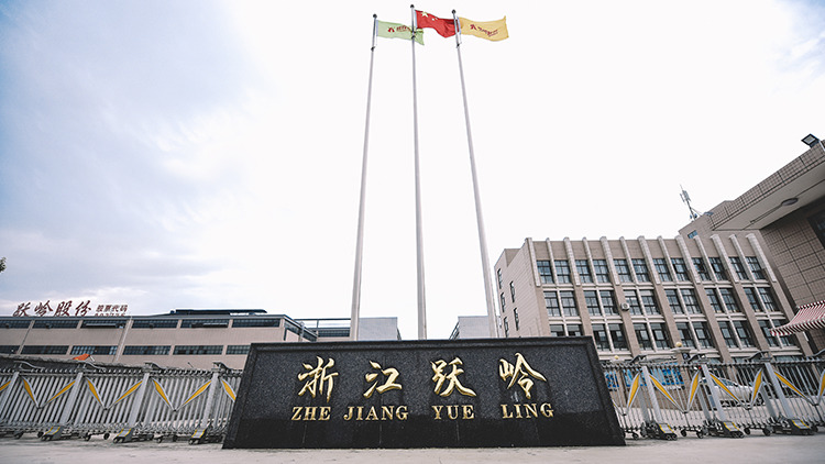浙江跃岭股份有限公司