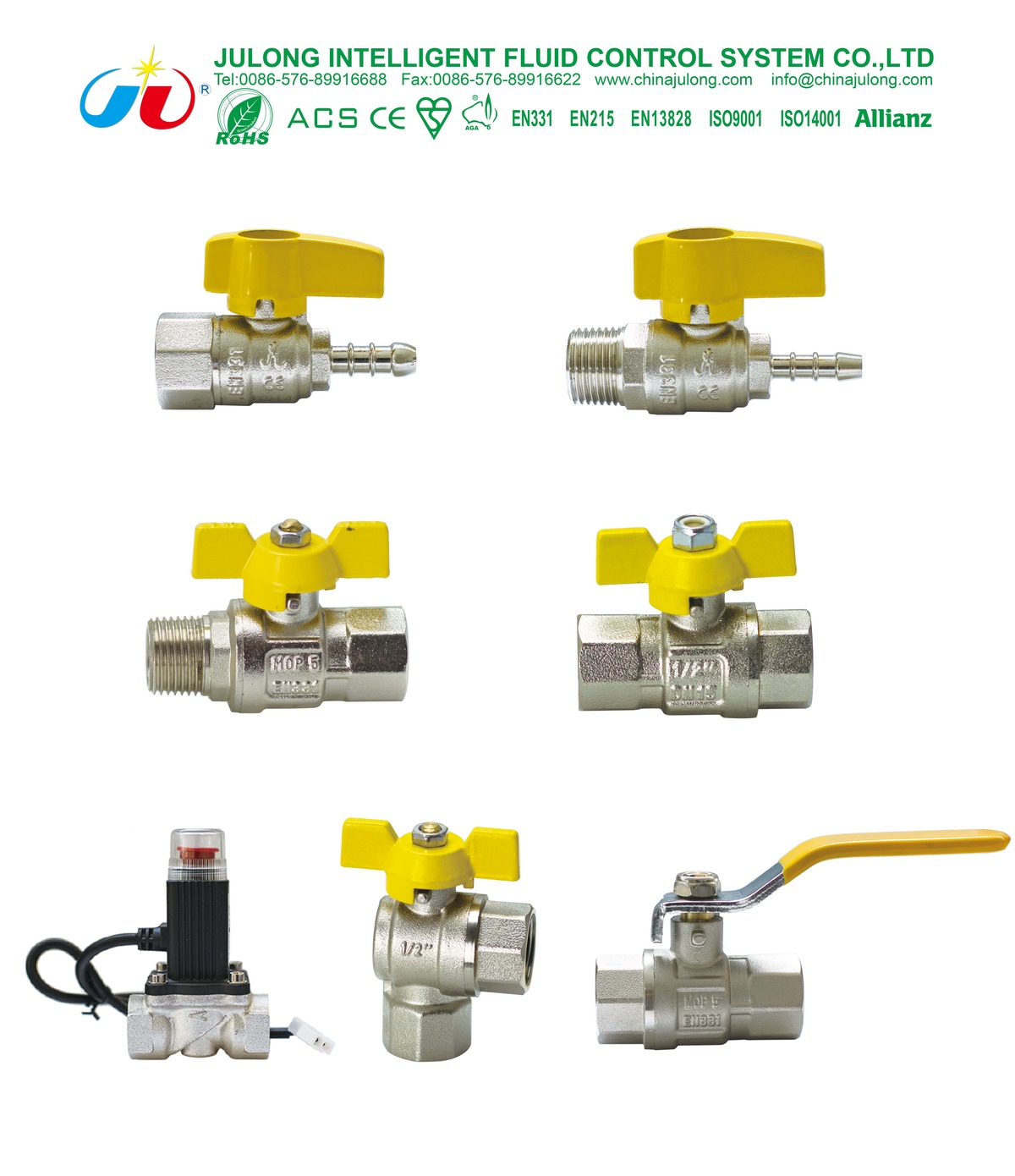 Zhejiang Julong Intelligent Fluid Control System Co., Ltd.
