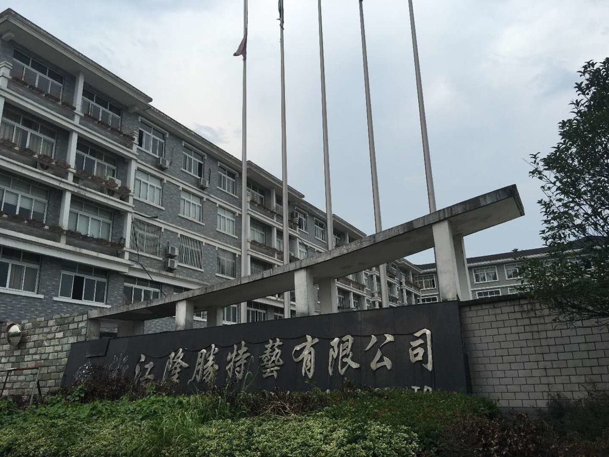 ZHEJIANG LONG SHENG SPECIAL  CRAFTS  CO., LTD.
