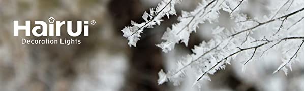 ice flower branches