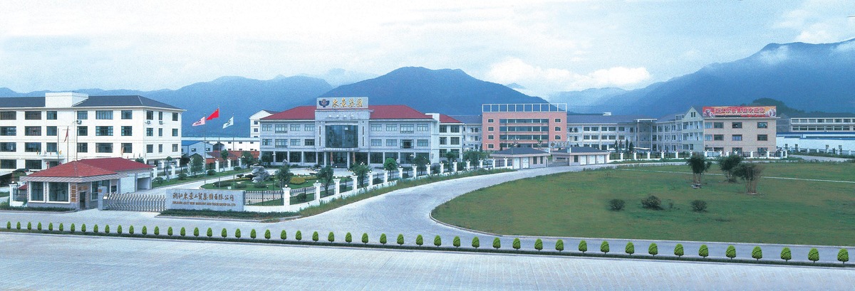 浙江东景工贸集团有限公司