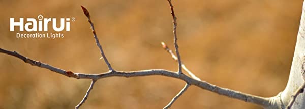Branch Lights