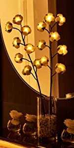Cotton Stem Lights