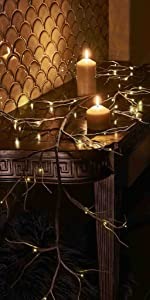 Twig Garland Lights