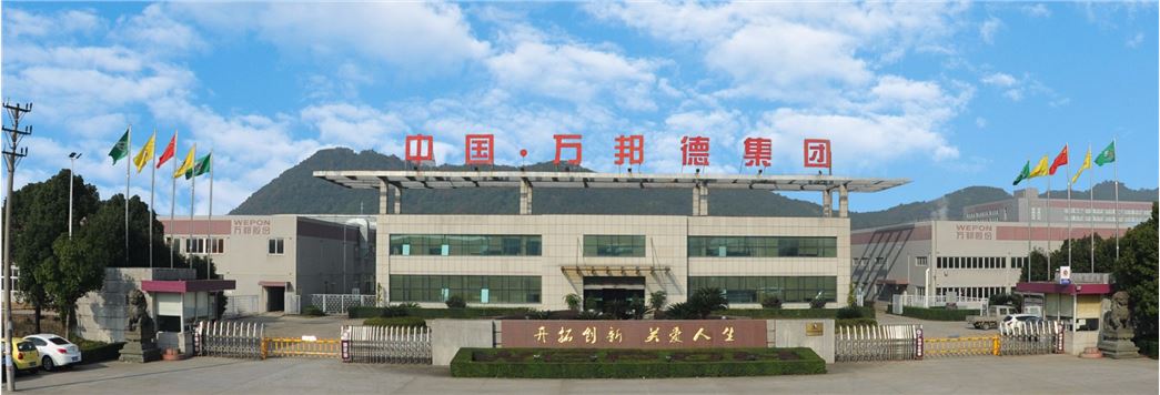 WEPON MEDICAL TECHNOLOGY CO., LTD