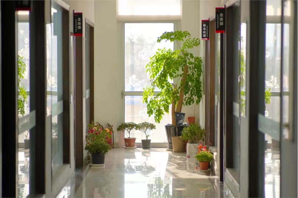 ZHEJIANG NEIGER  BELT CO.,LTD