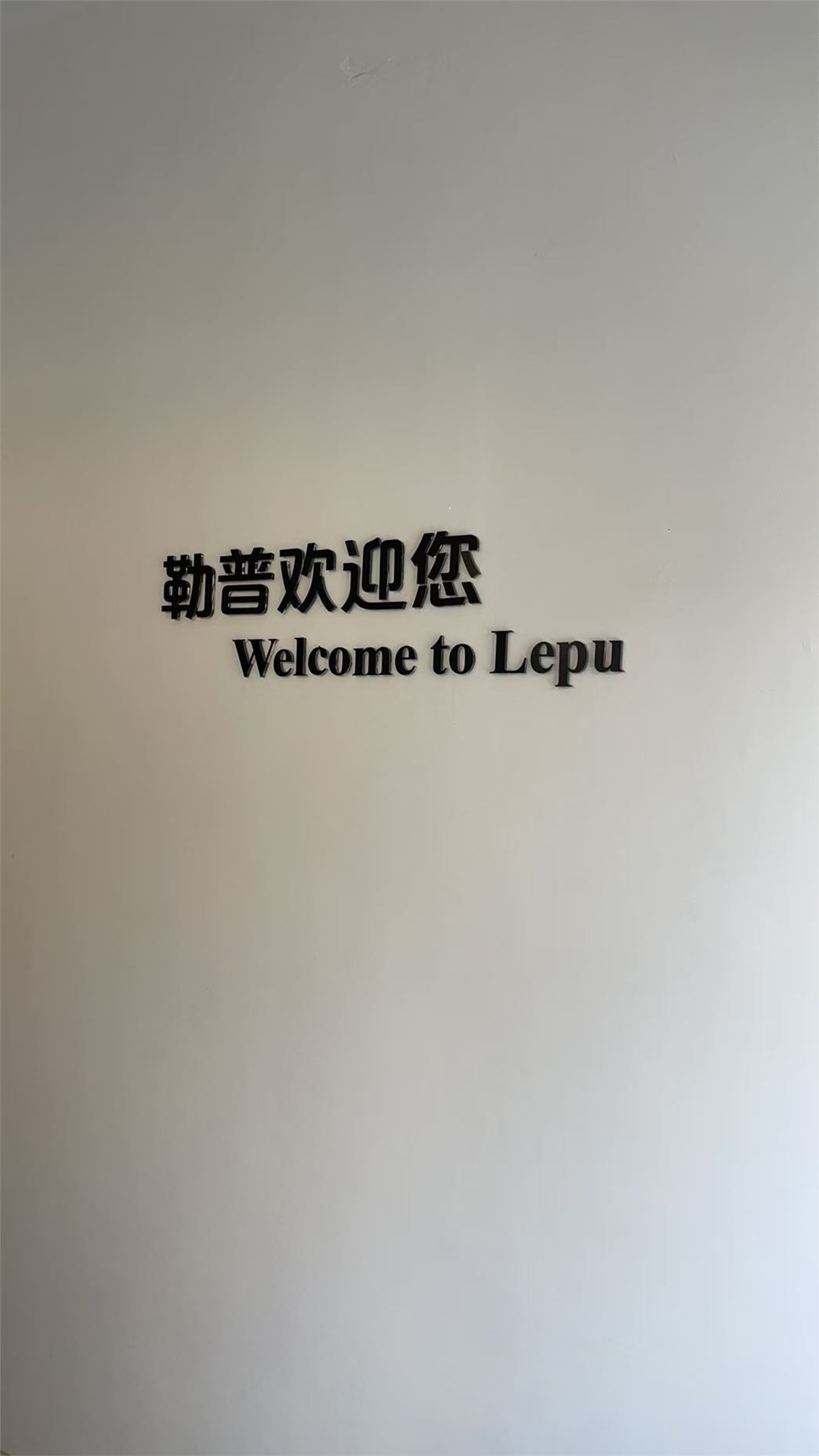 zhejiang lepu machinery electronics&technology co.,ltd.